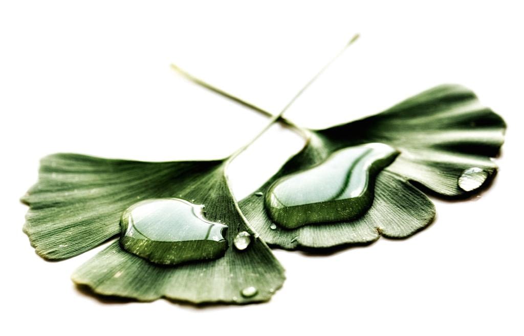 Tinnitus mit Tebonin, Ginkobil oder Gingium behandeln?Studien, Tests, Erfahrungen zu Ginkgo-Medikamenten Tinnitus mit Tebonin, Ginkobil oder Gingium behandeln?Studien, Tests, Erfahrungen zu Ginkgo-Medikamenten